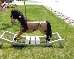 I made this rocking horse for my grand kids. It was one of the first projects in my new shop in Colorado. Nearly 10 years later it is still going strong!